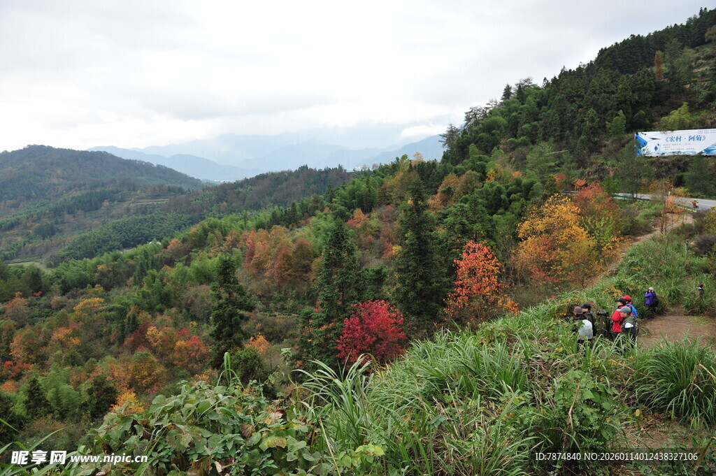 秋日山林徒步美景