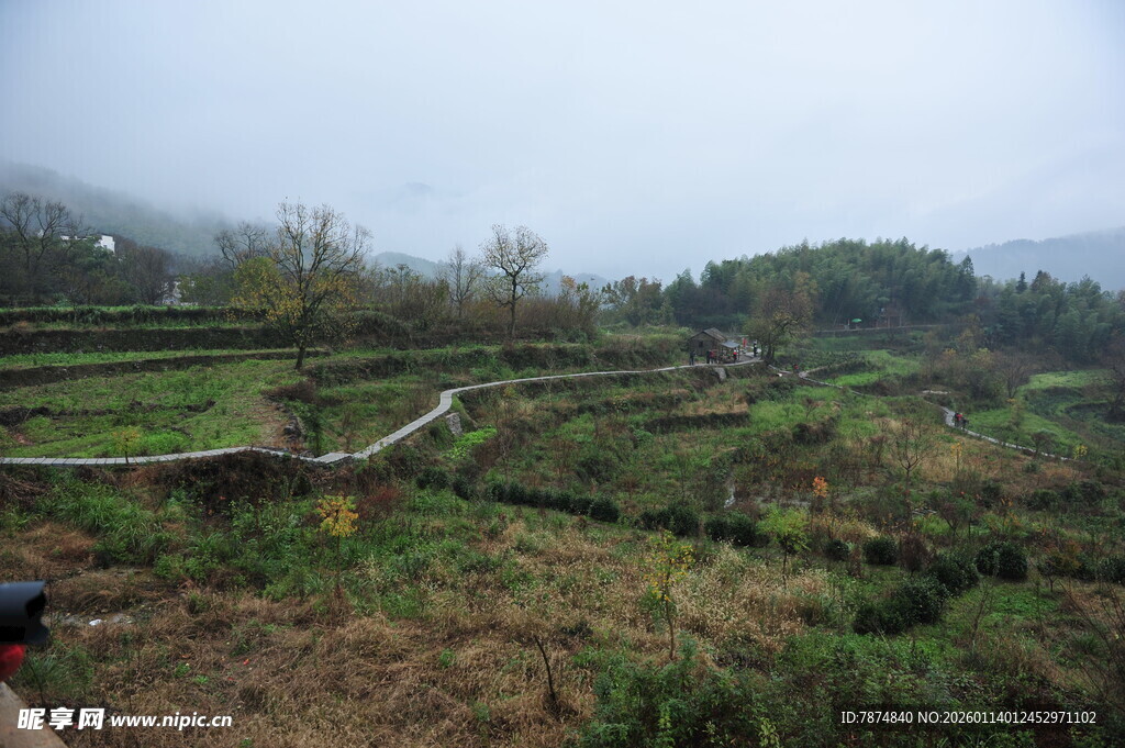 山间梯田景色