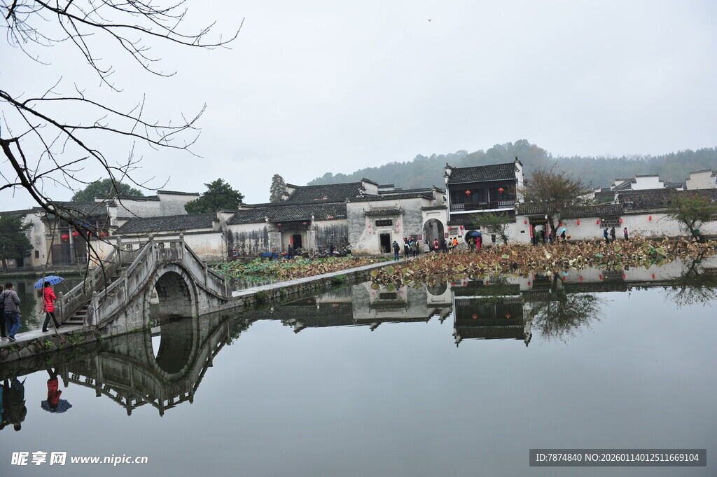 江南水乡静谧湖景风光