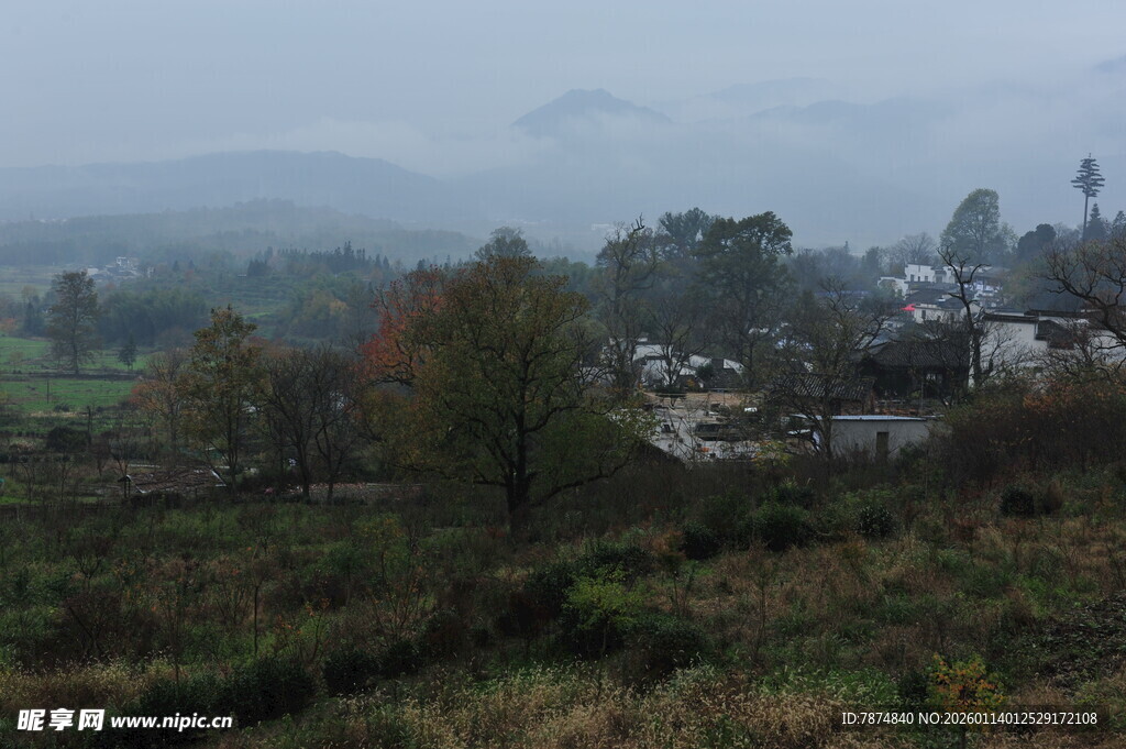 乡村雾景 静谧田园风光