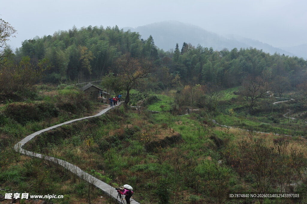 山间小径漫步的美丽景致
