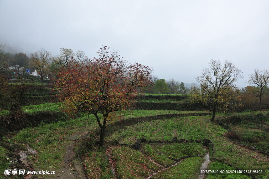 乡村田野间的秋日景致