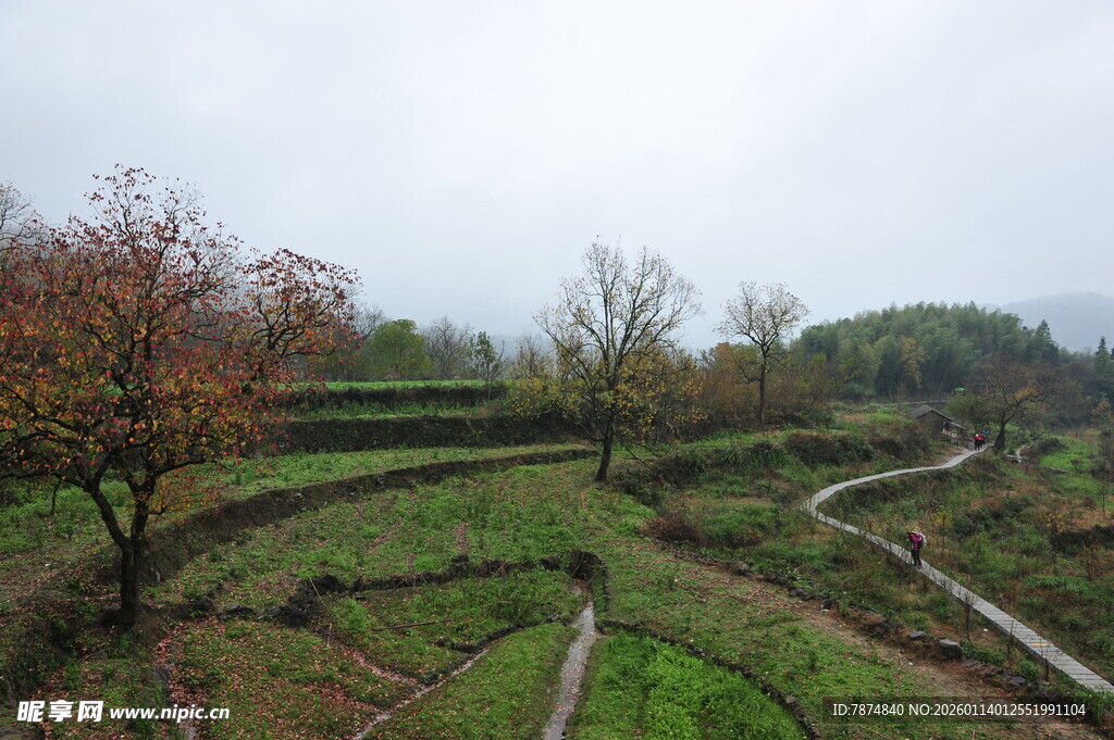 山间梯田田园风光美景