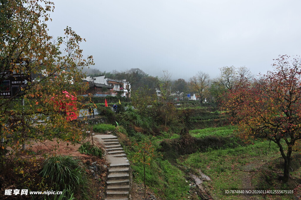 山间小径赏秋日田园风光