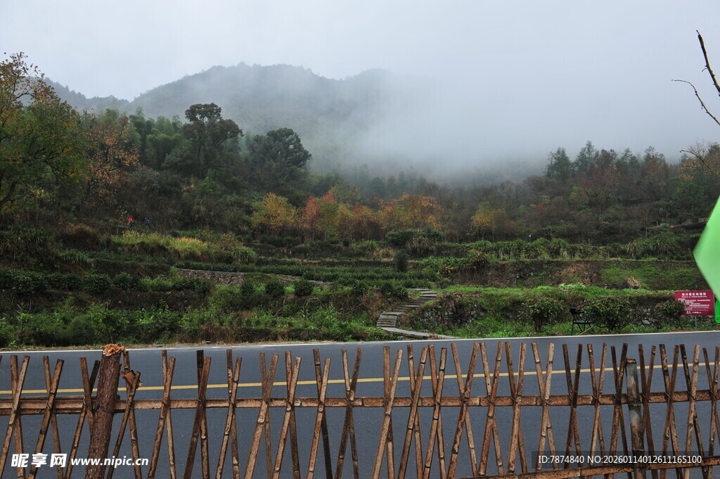雾中乡村景致