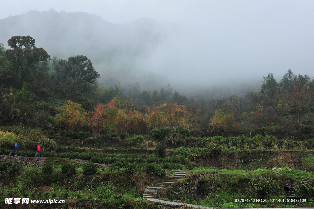 山间雾绕秋景如画