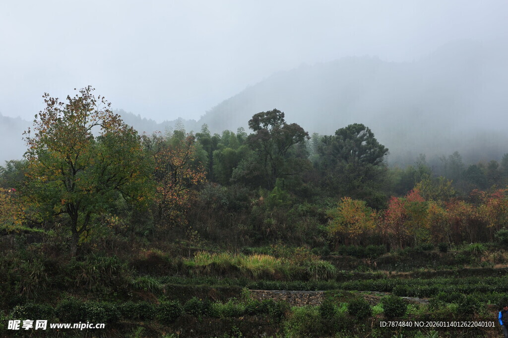 山间雾景 秋意盎然