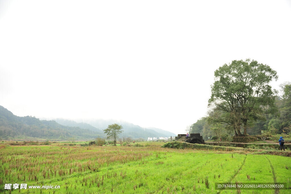 乡村田园风光的静谧景致