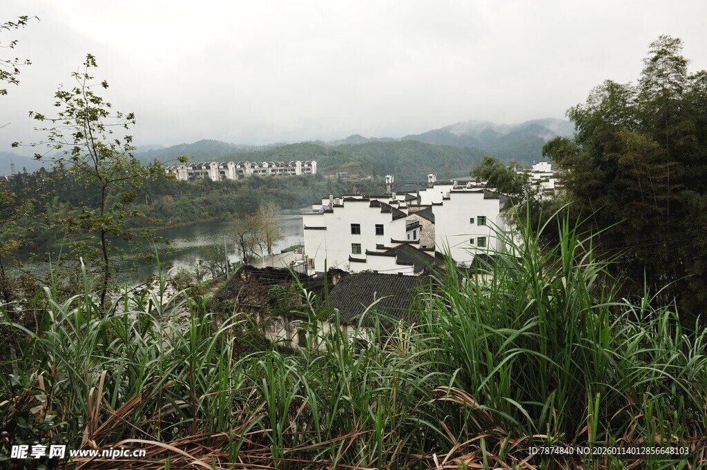 山间湖畔绿意盎然景色