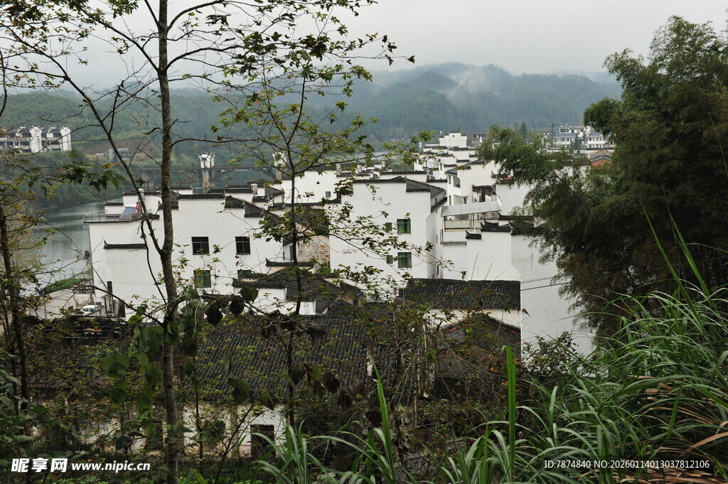 山村白墙建筑隐于绿意中