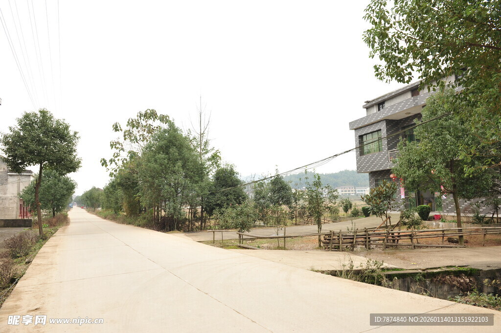 乡村宁静小路与周边景致