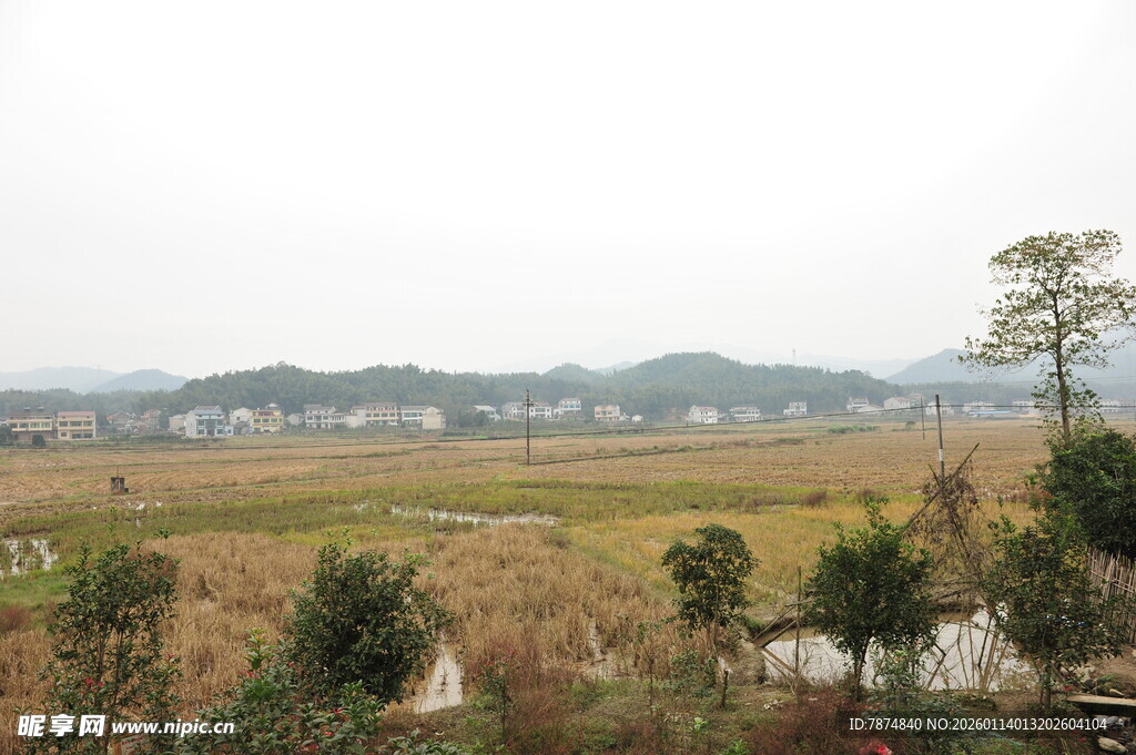 乡村田野风光景色