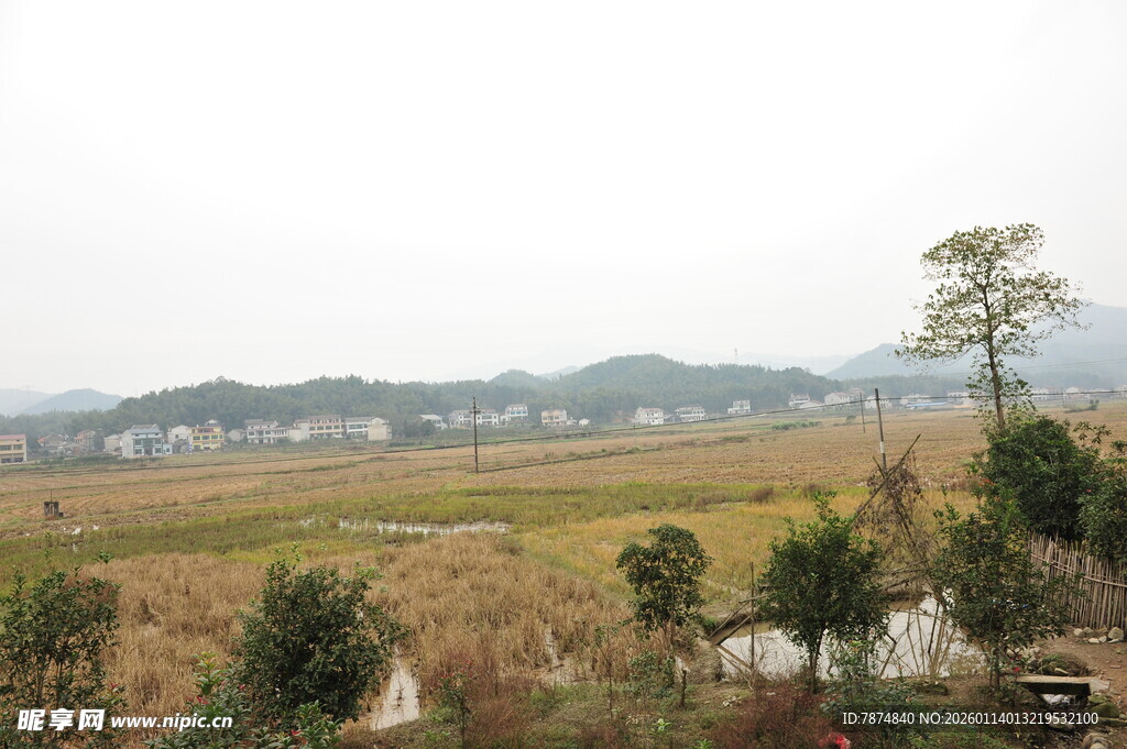 乡村田野风光景色