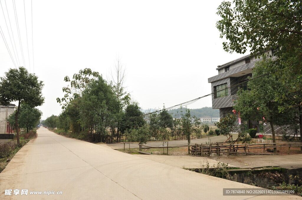 乡村宁静小路与周边民居