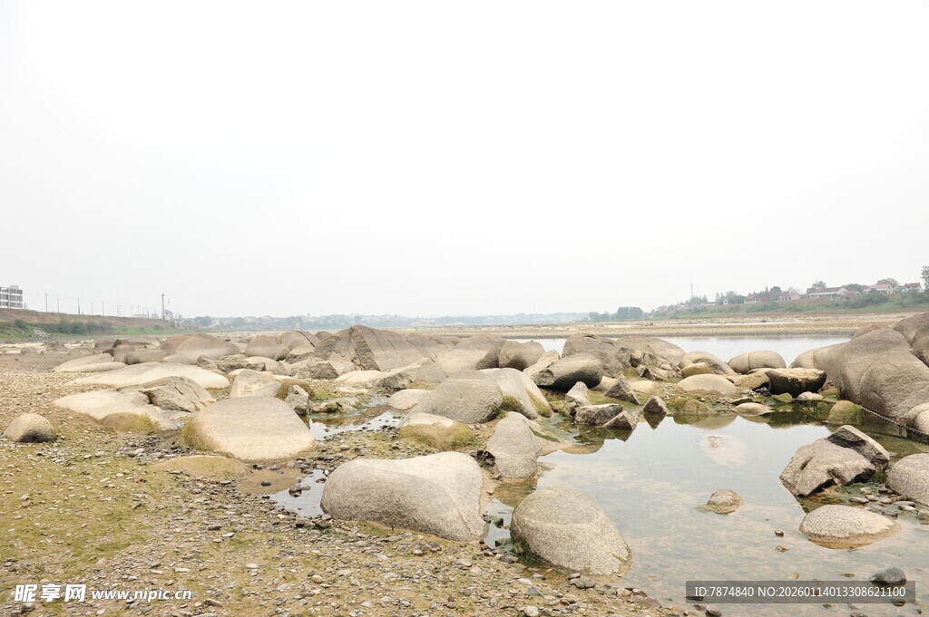 河边休憩的羊群