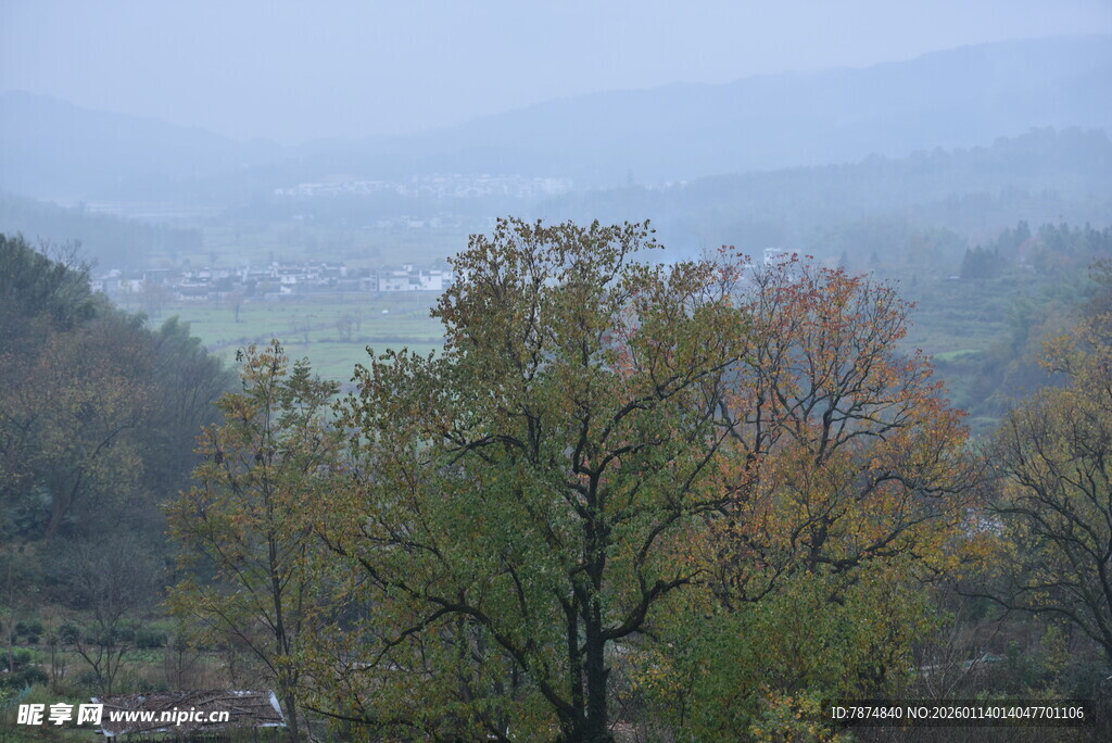 雾中多彩山林景色