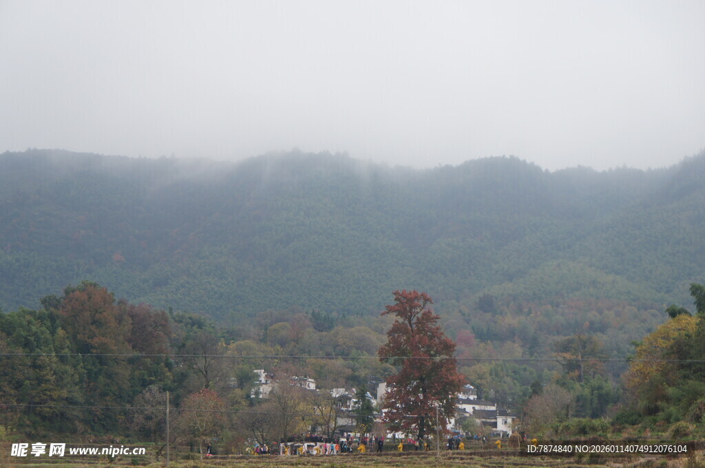 雾中乡村美景