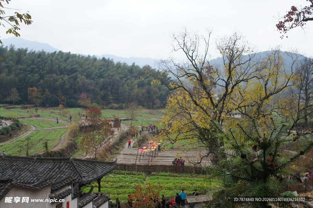乡村田园风光景色