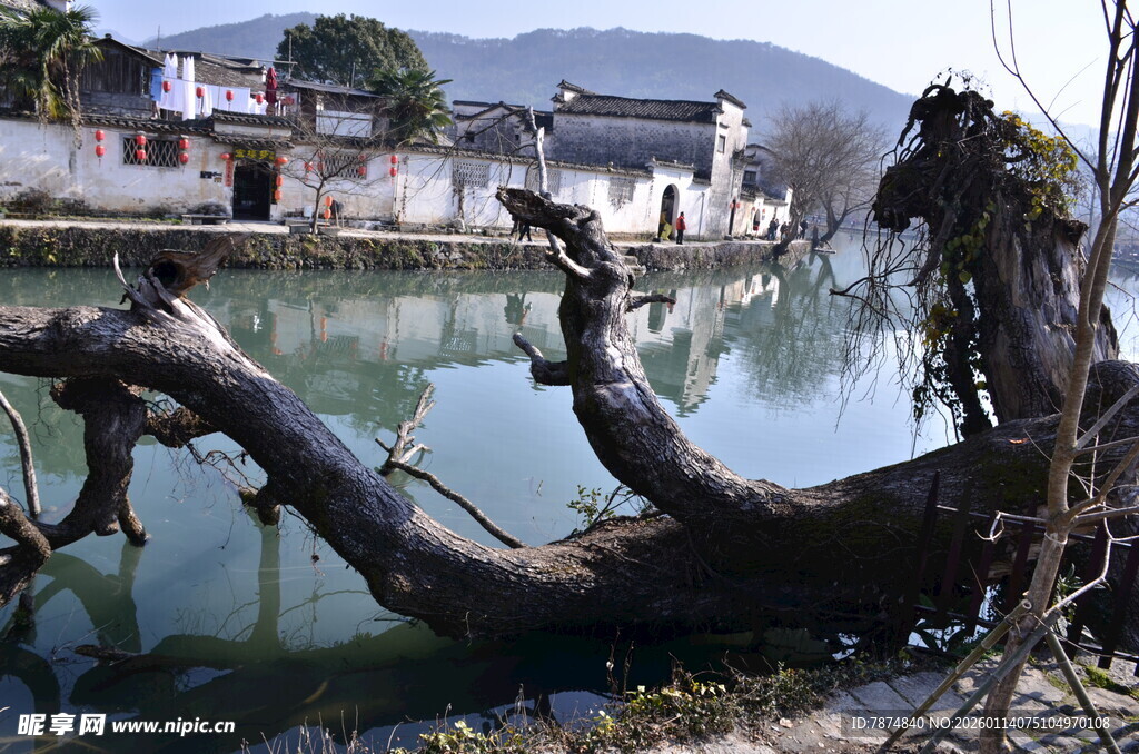 水边枯树与古朴村落景致