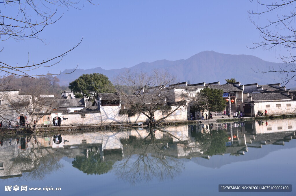 江南水乡湖畔静谧景致