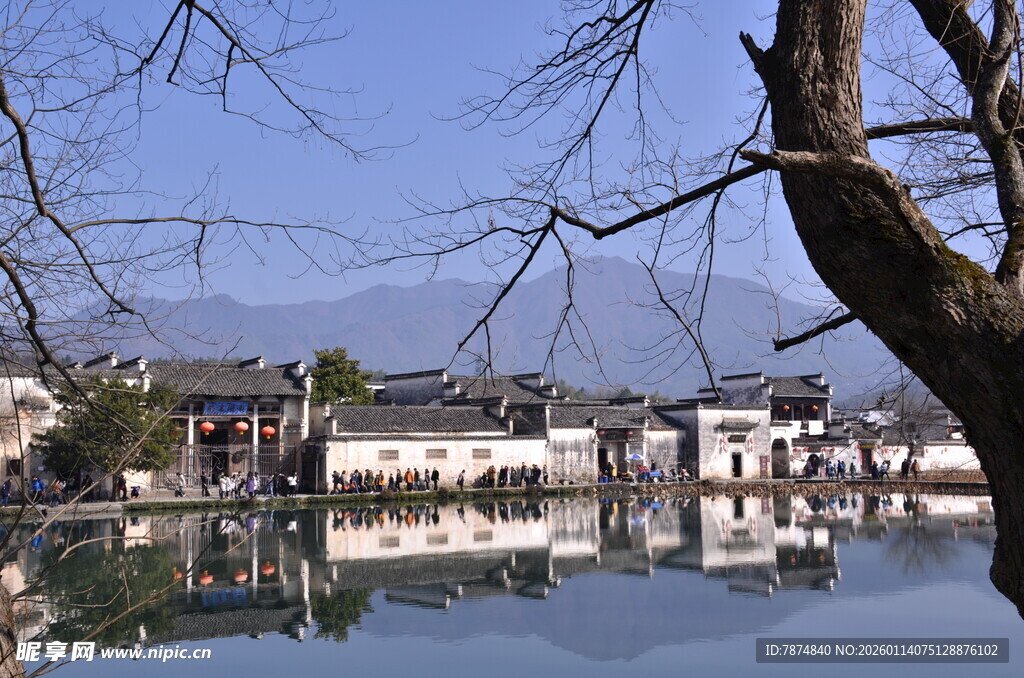 江南水乡静谧湖景风光