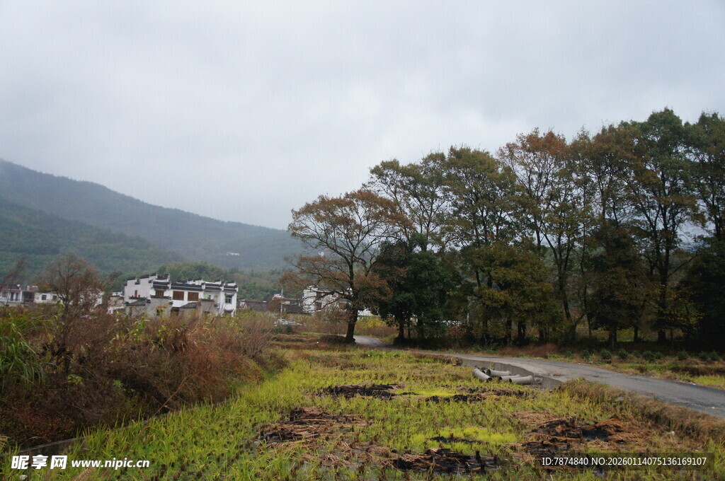 乡村田野间的静谧小路