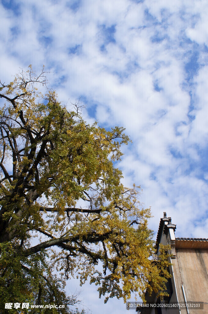 蓝天绿树旁的建筑一角