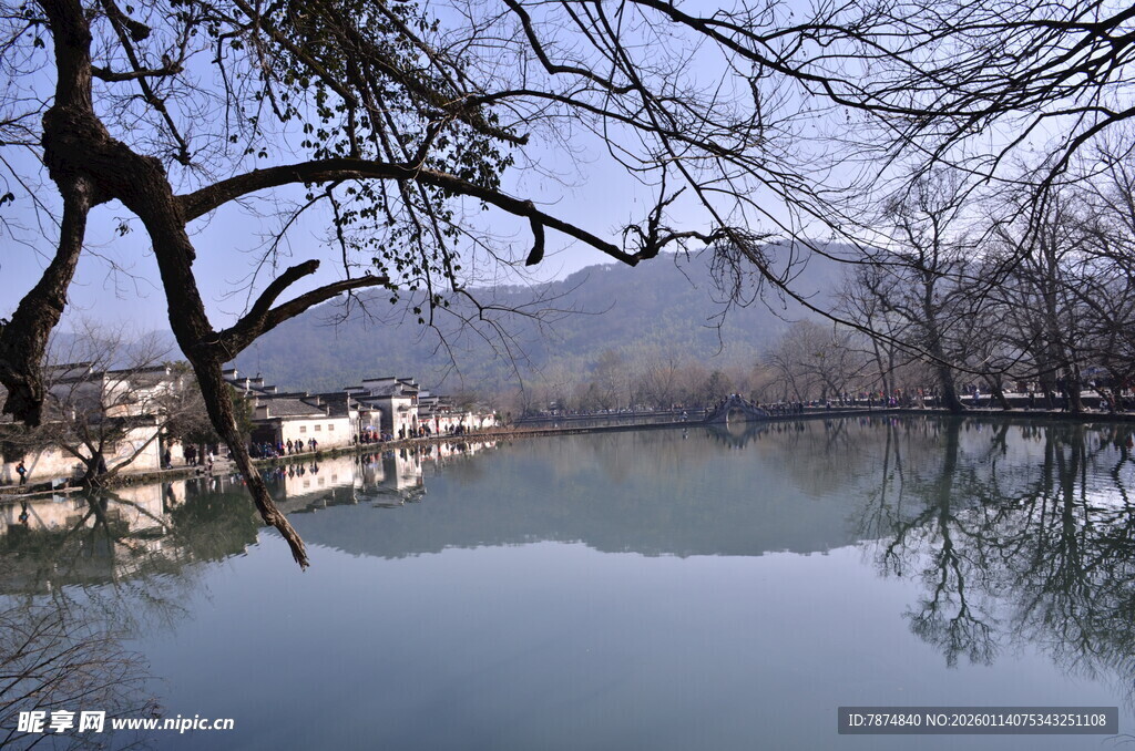 湖畔枯树与宁静水面景色