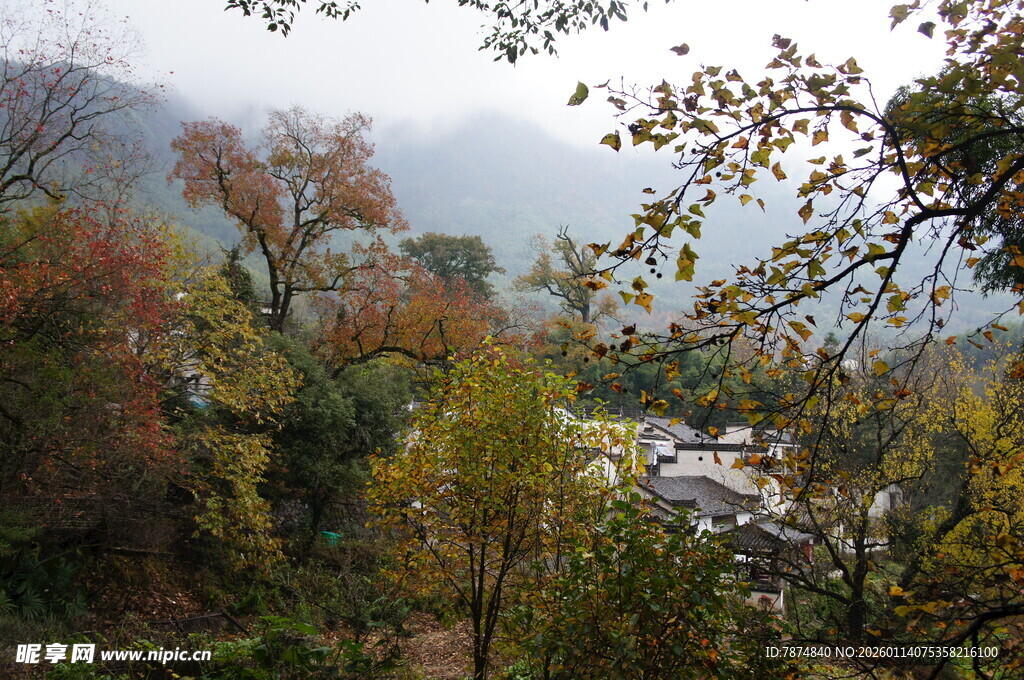 山间秋色美景
