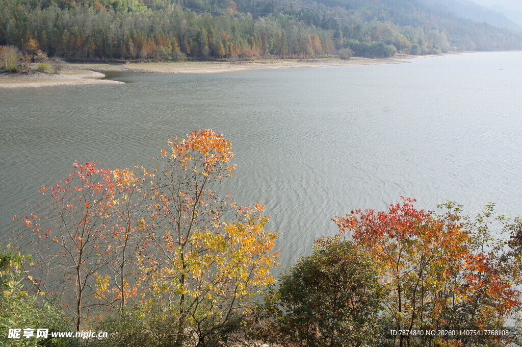 湖畔秋色 多彩树木映碧水
