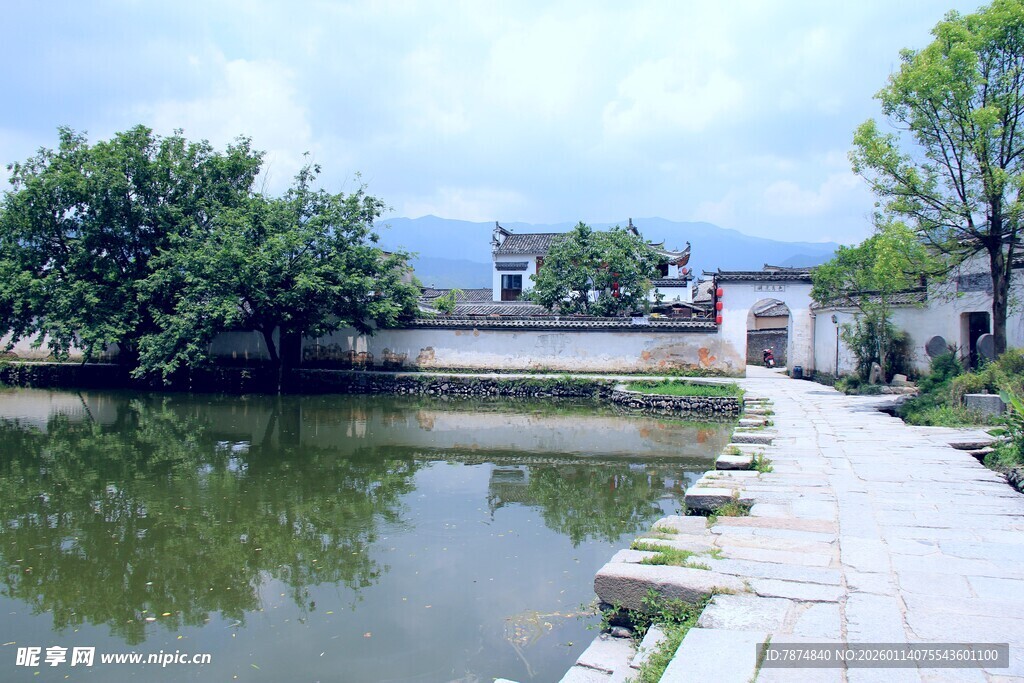 乡村池塘边的宁静小道