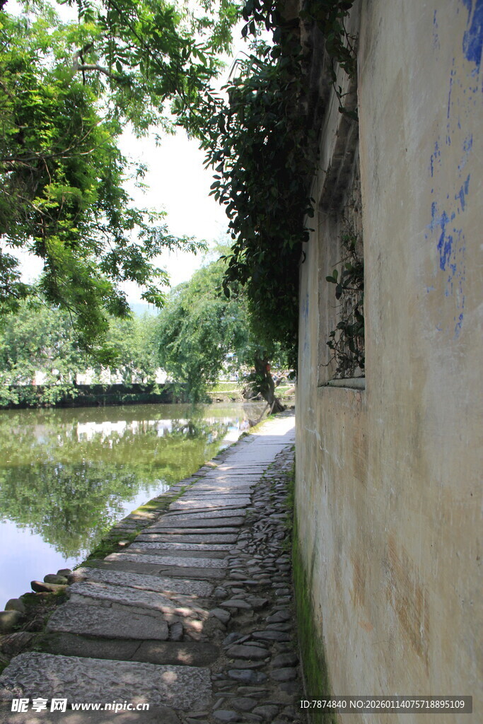 小巷边的静谧池塘风景