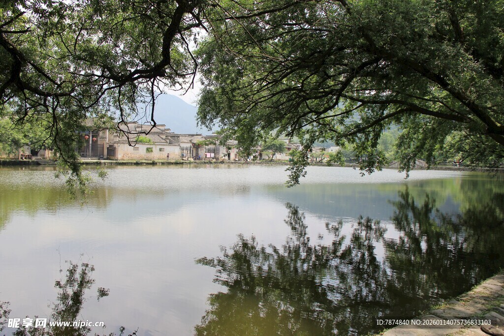 湖畔绿树环绕的宁静景致