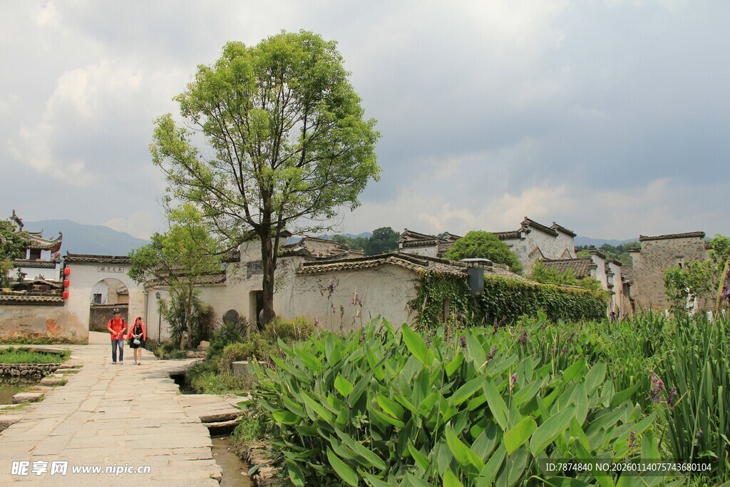 乡村小道旁的古朴民居