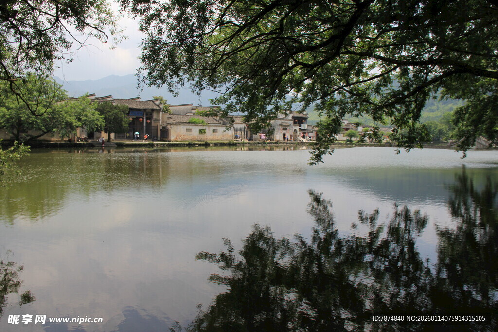 湖畔绿树环绕的宁静景致