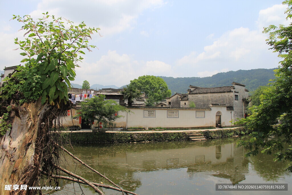 江南水乡静谧河岸风光