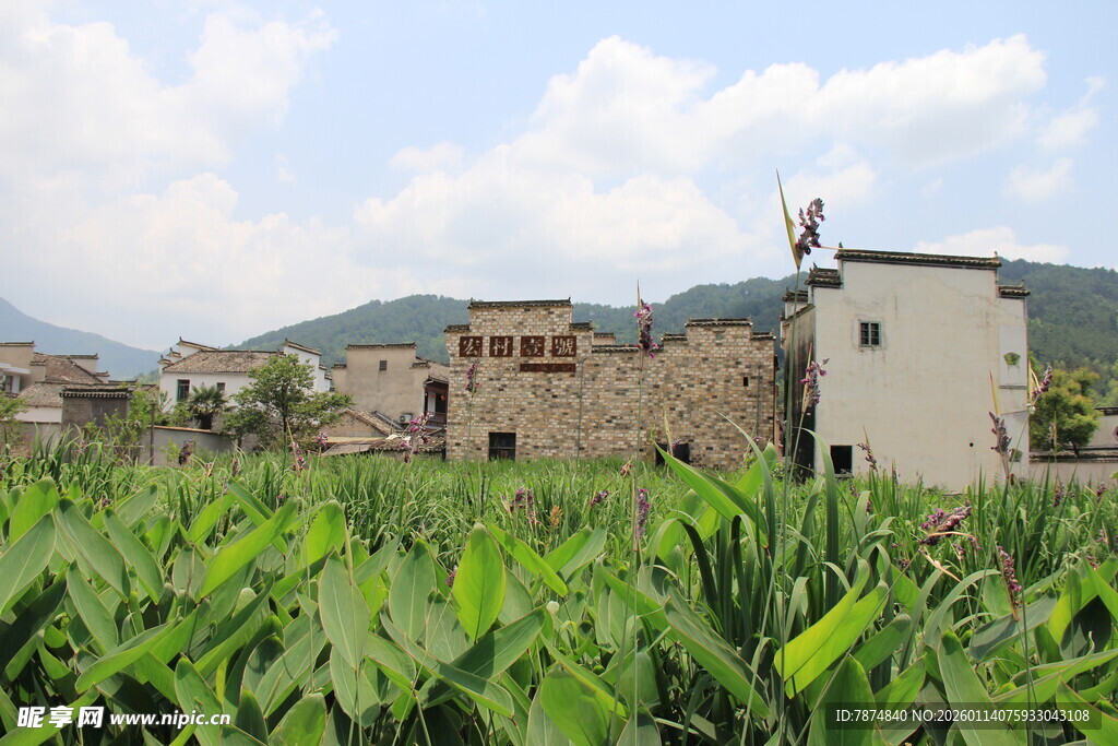 乡村田园风光中的古朴建筑