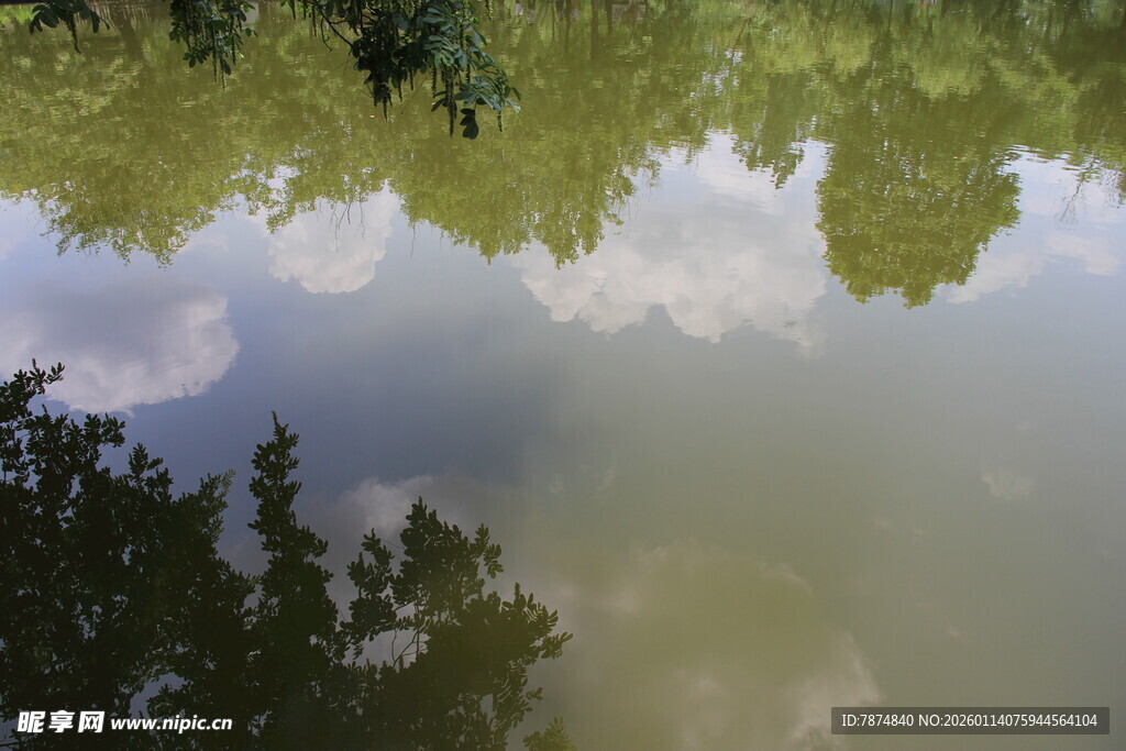 湖面树影倒映的静谧景致