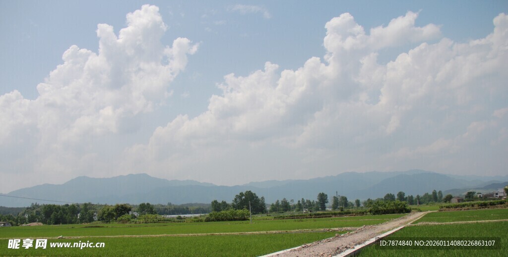 田园风光中的蜿蜒小路