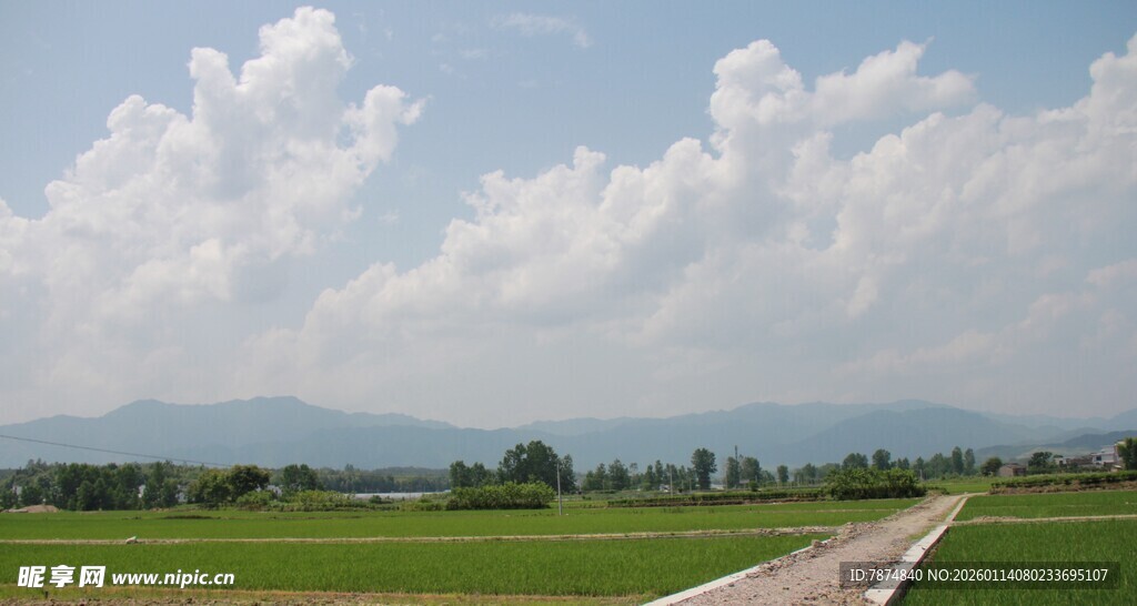 田园风光 蓝天白云下的绿野
