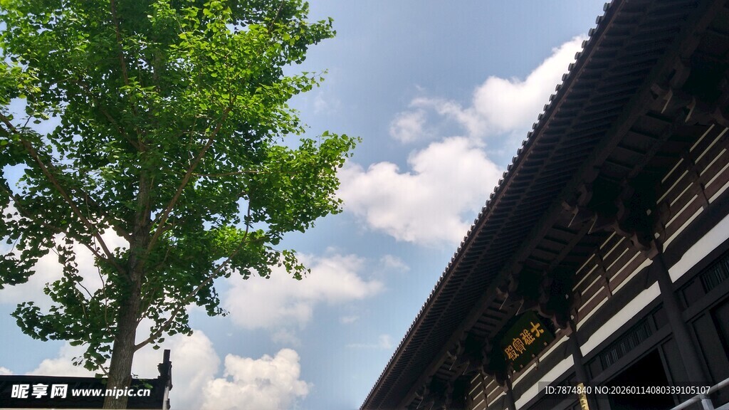 古建旁绿树映蓝天