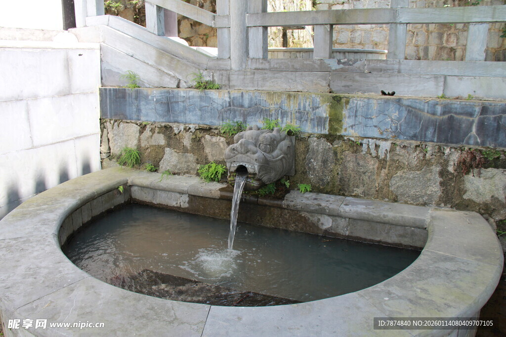 庭院中的圆形石质小水池