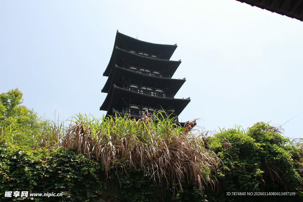 古塔立于葱郁草木间