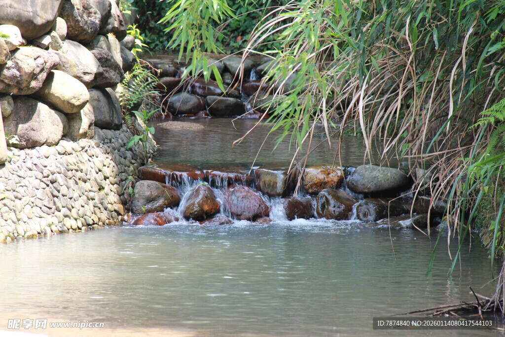 山间溪流 石与绿植相伴