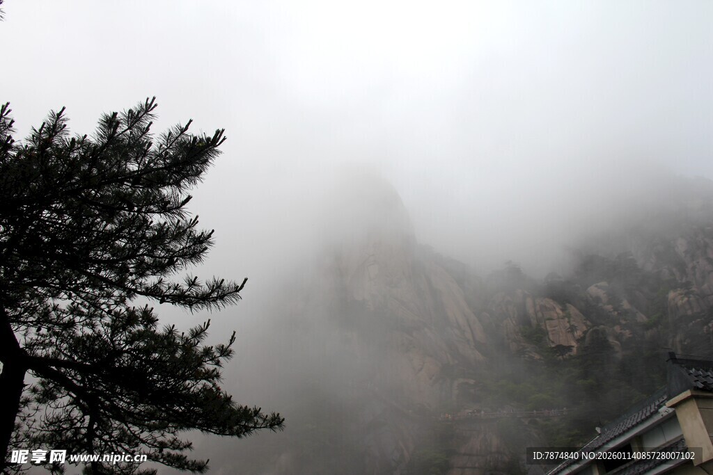 云雾缭绕中的山林景致