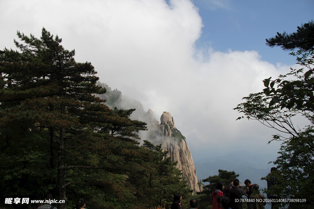 云雾缭绕的山林景观