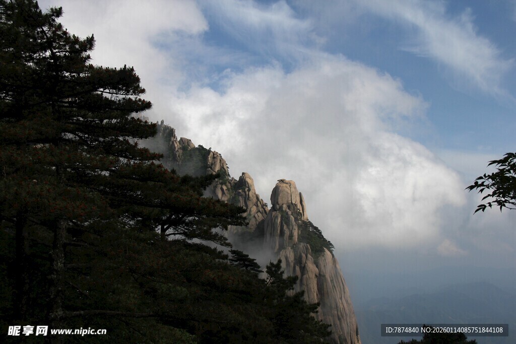 巍峨山峰与葱郁林木景观