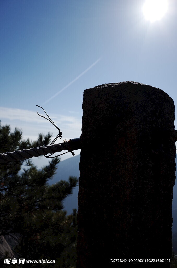 阳光下的石柱与树枝