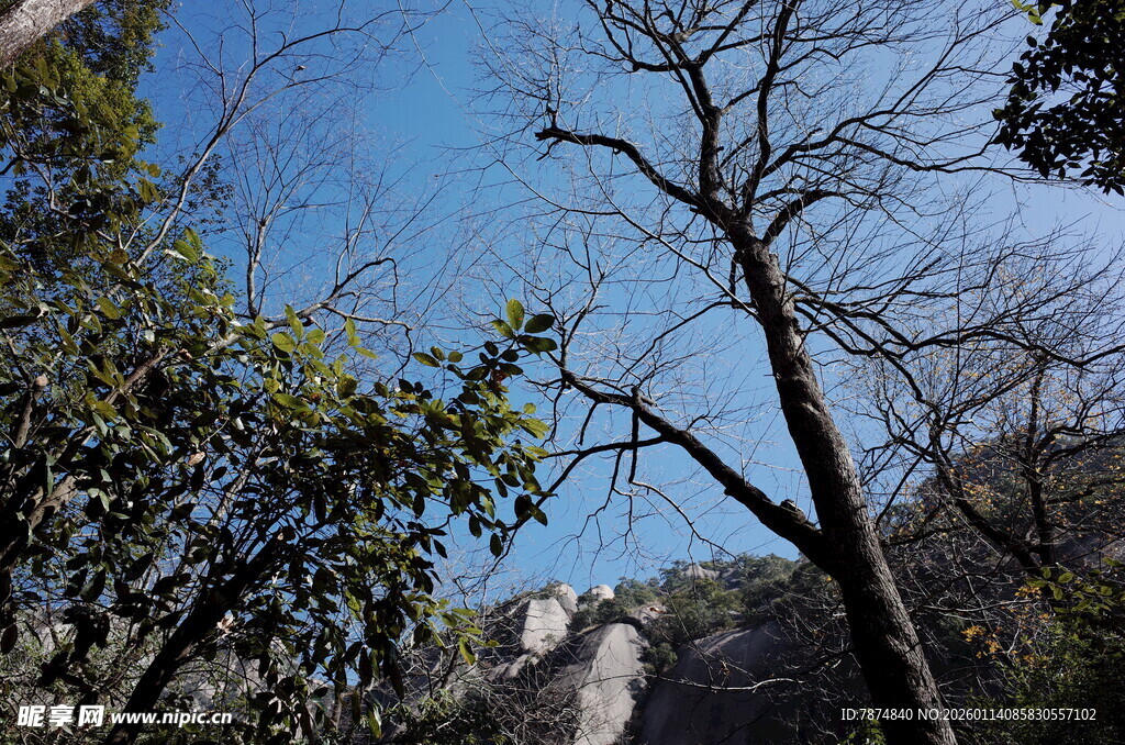 山林间的蓝天与光秃树木
