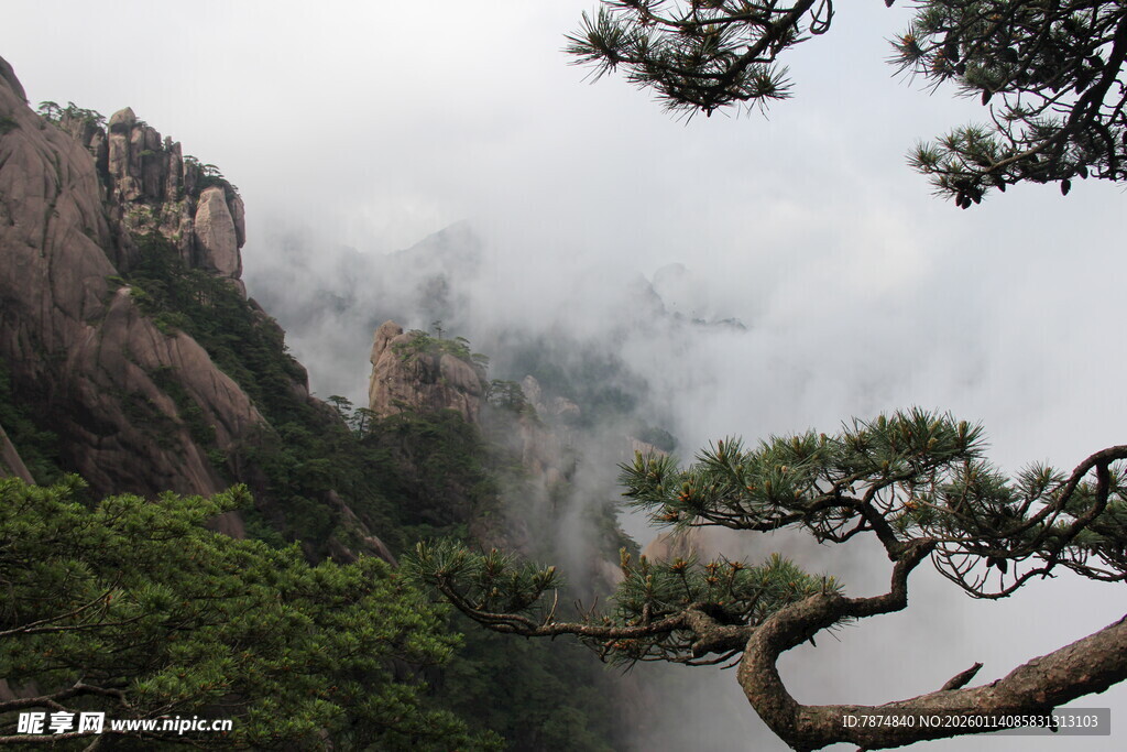 云雾缭绕的峻岭青松